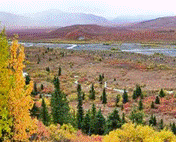 https://www.womo-abenteuer.de/sites/default/files/cghl/alaska_cg_savage.jpg